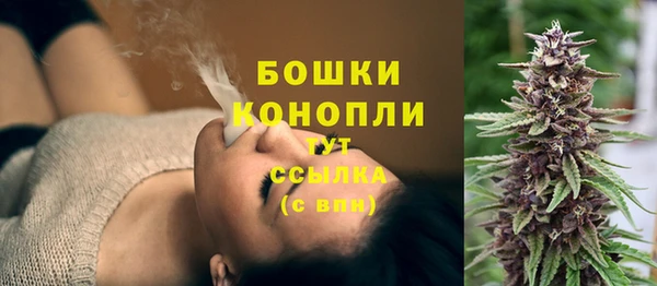 мдпв Богородск