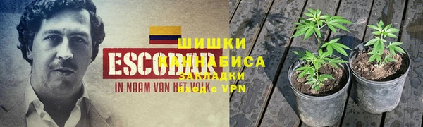 мдпв Богородск