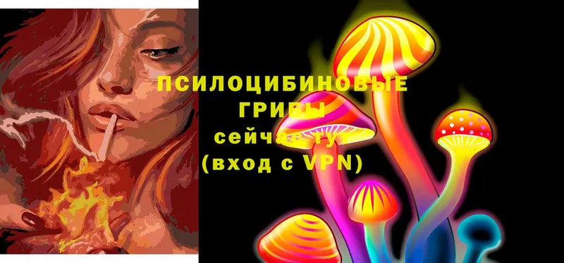 Псилоцибиновые грибы Psilocybine cubensis Верхний Уфалей